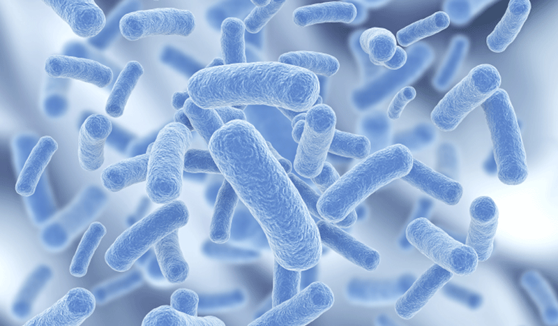 Microorganisms
